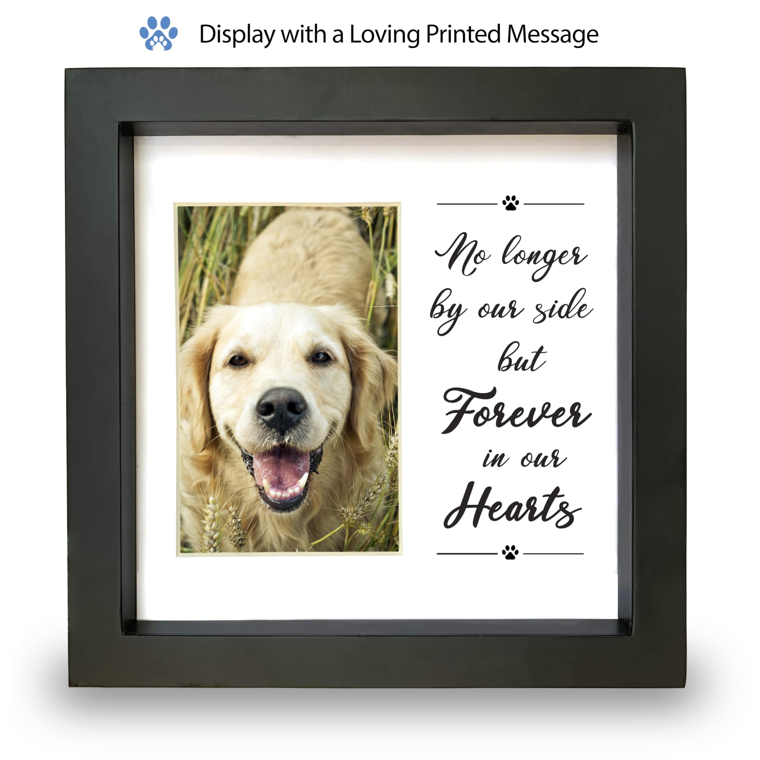 PAWCEPTIVE wall-mount option fits any home decor.