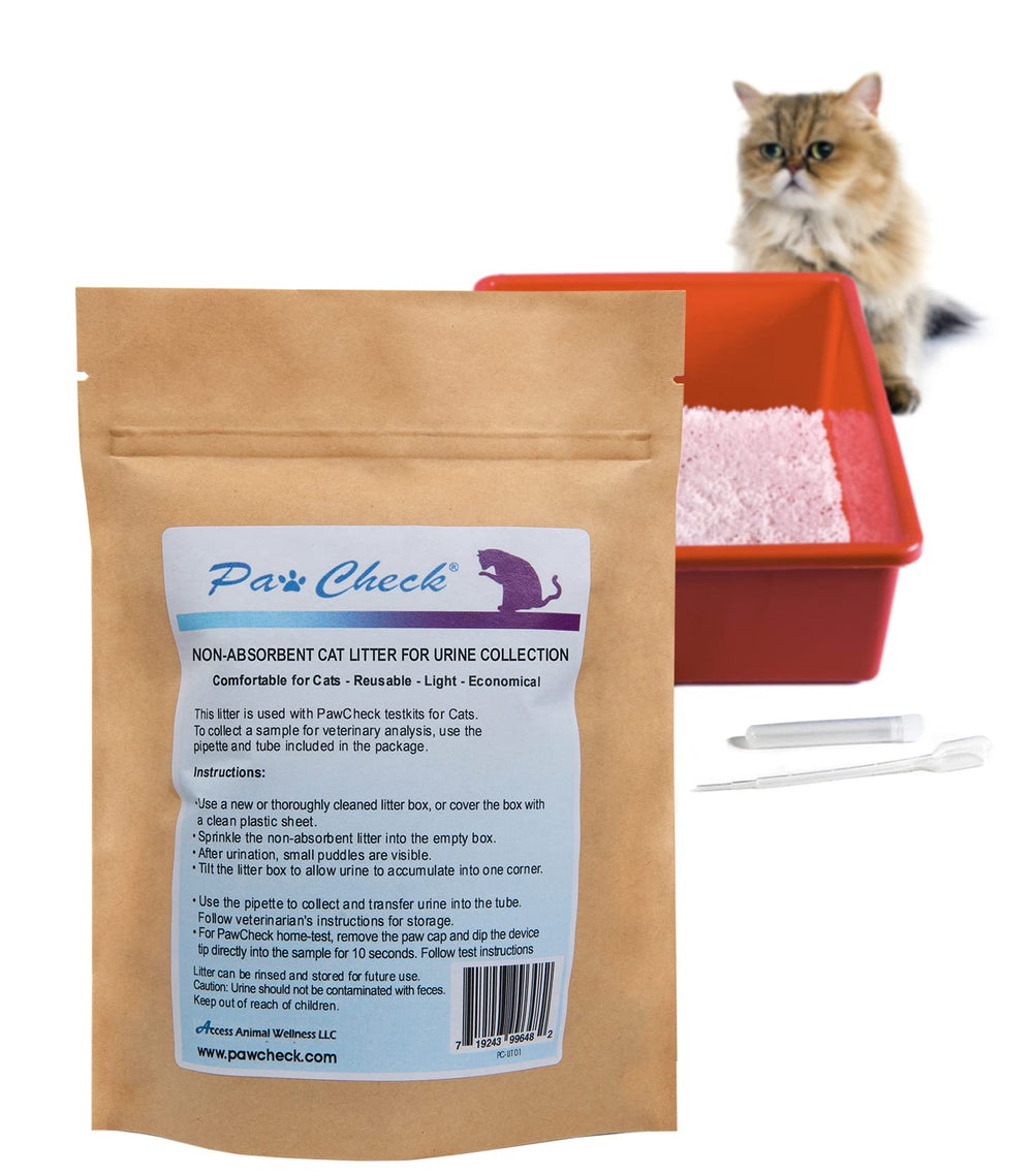 PawCheck cat litter urine collection surface designed for easy non-invasive sampling.