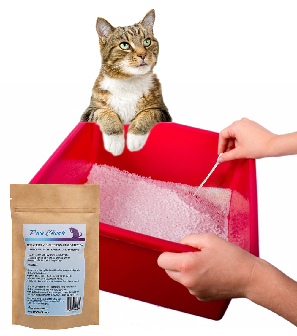 PawCheck reusable litter shown ready for up to five uses across cats.