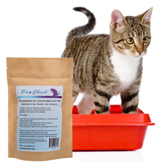 PawCheck urine collection kit with pipette and tube enabling quick sample handling.
