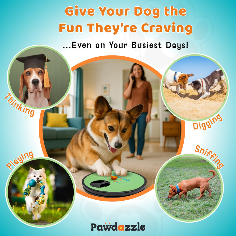 Pawdazzle easy-clean design resists residue after busy sessions.