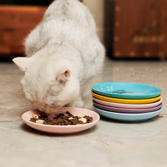 Pawdoer ceramic material keeps bowls safe and durable.