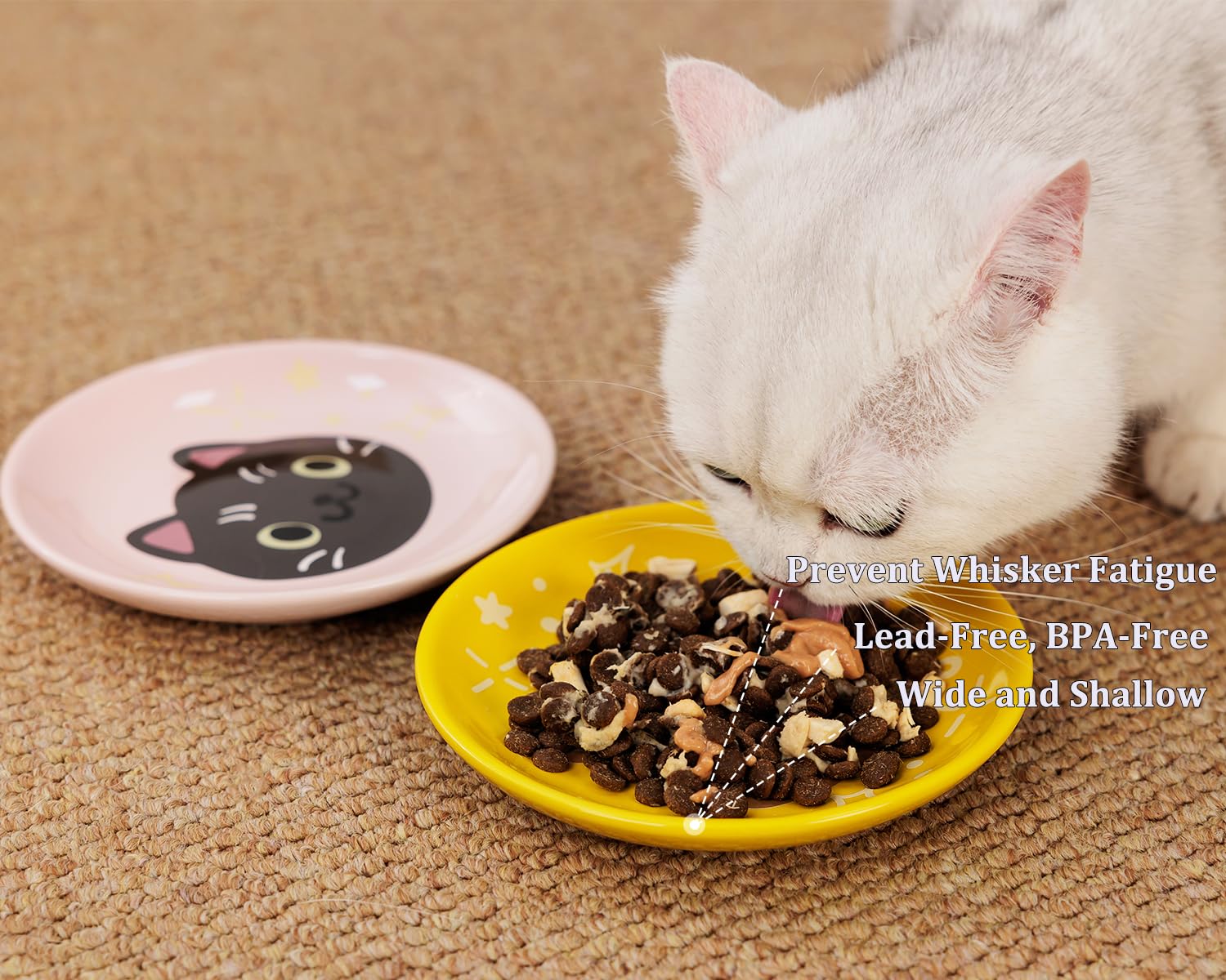 Pawdoer wide flat dish suited for kittens and short-legged cats.