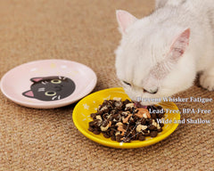 Pawdoer wide flat dish suited for kittens and short-legged cats.