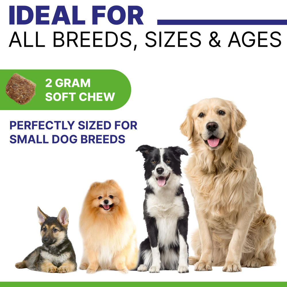 Pawsential No Poo Chews illustrate breath-freshening benefits in treat form.
