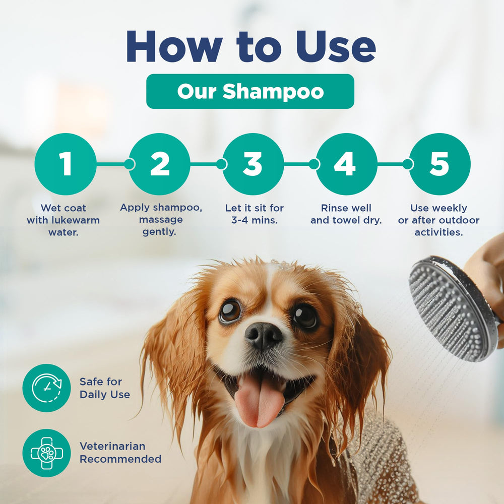 Pawfect by FurFresh puppy-friendly grooming shot exemplifying gentle cleansing.