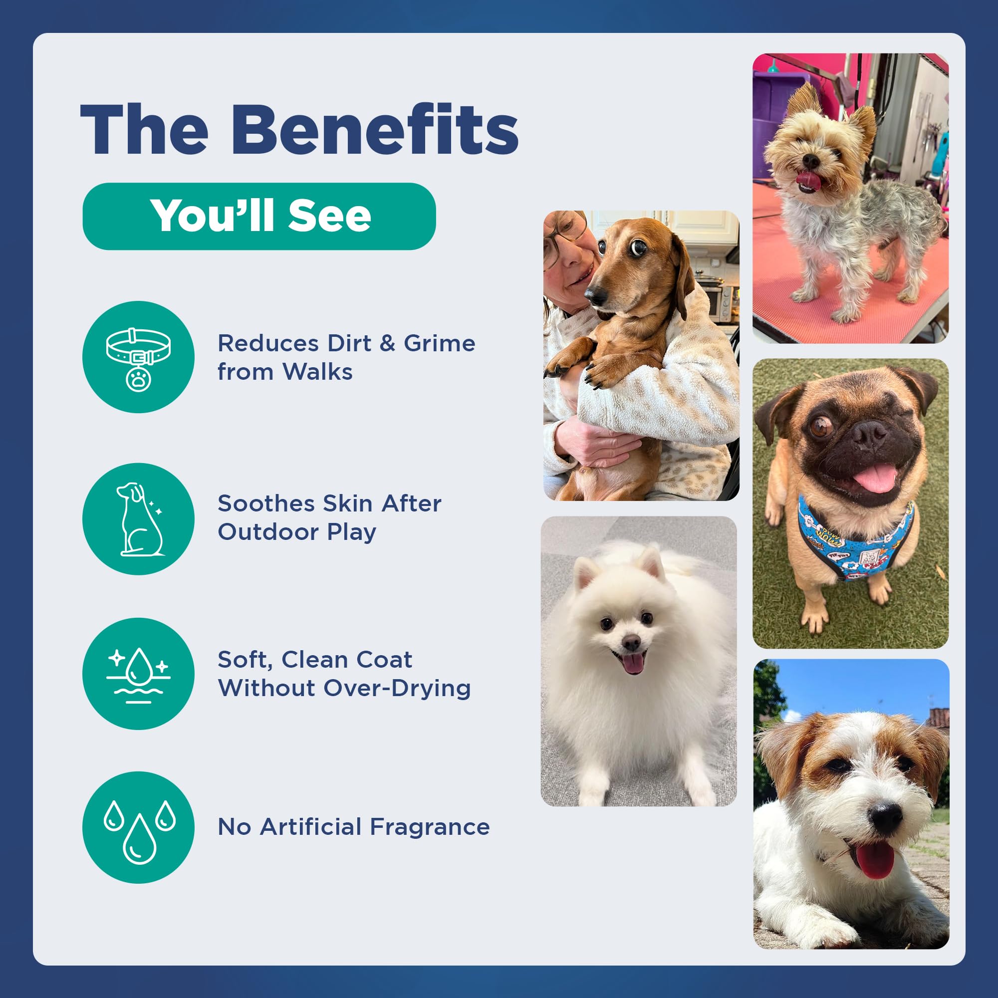 Pawfect by FurFresh sulfate-free ingredients shown on packaging for safe grooming.