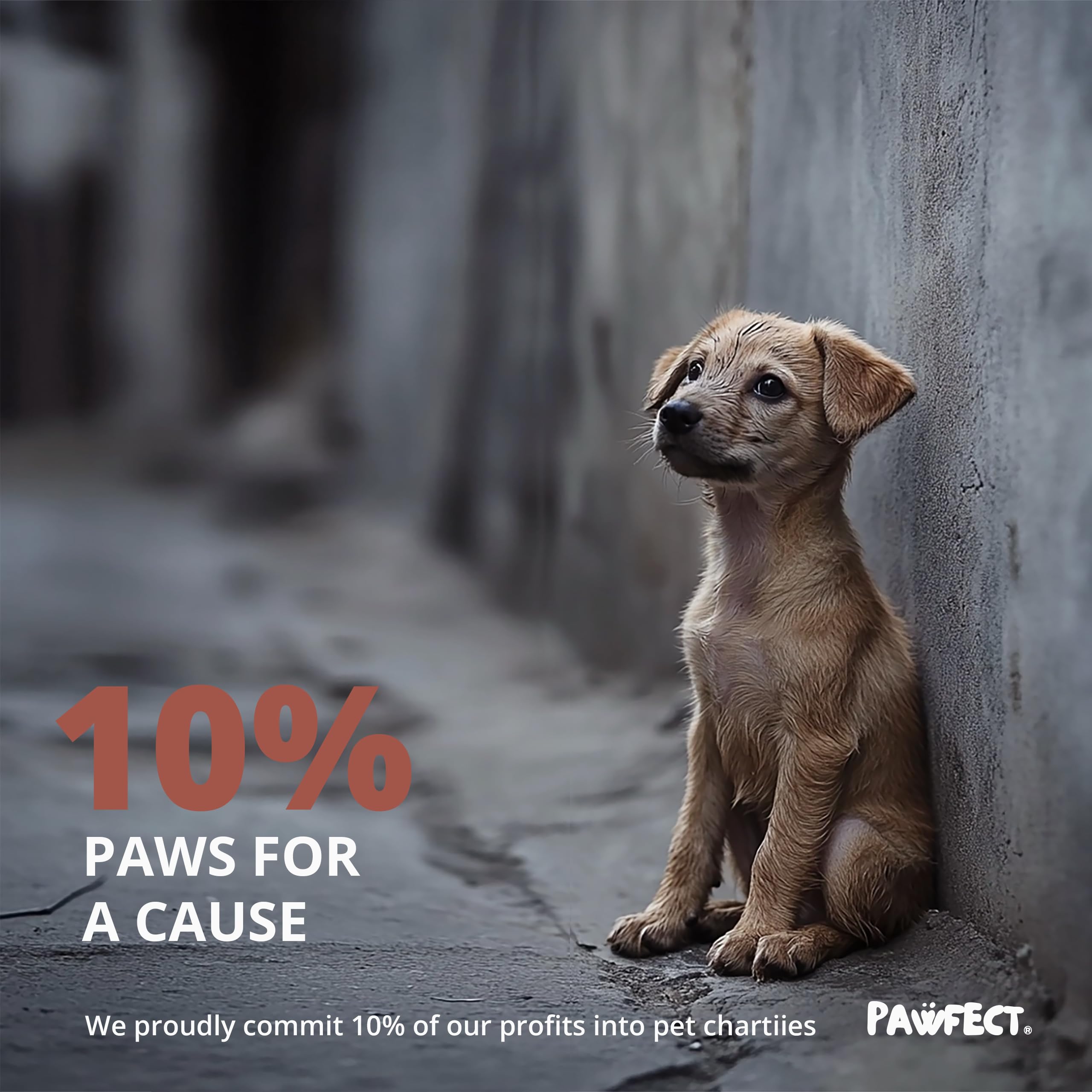 Pawfect eco-friendly dog poop bags support waste reduction
