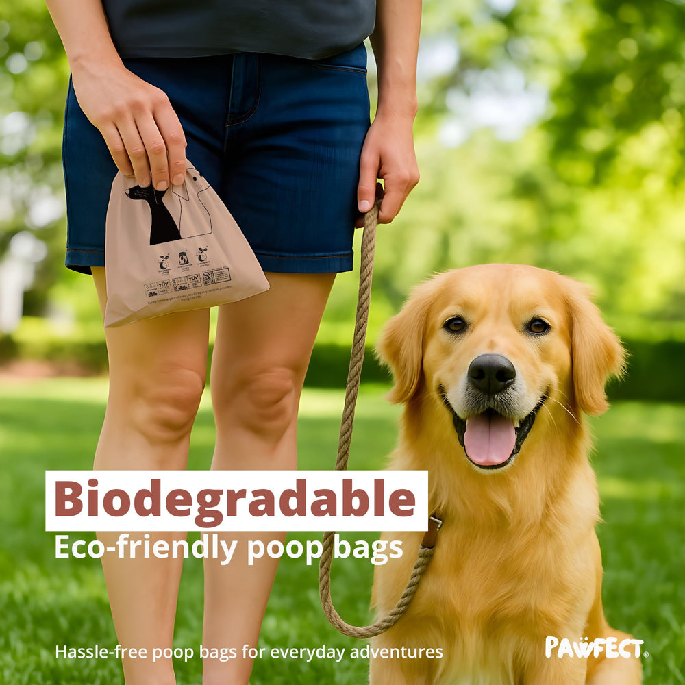 Pawfect unscented poop bags provide fragrance-free cleanup for sensitive noses