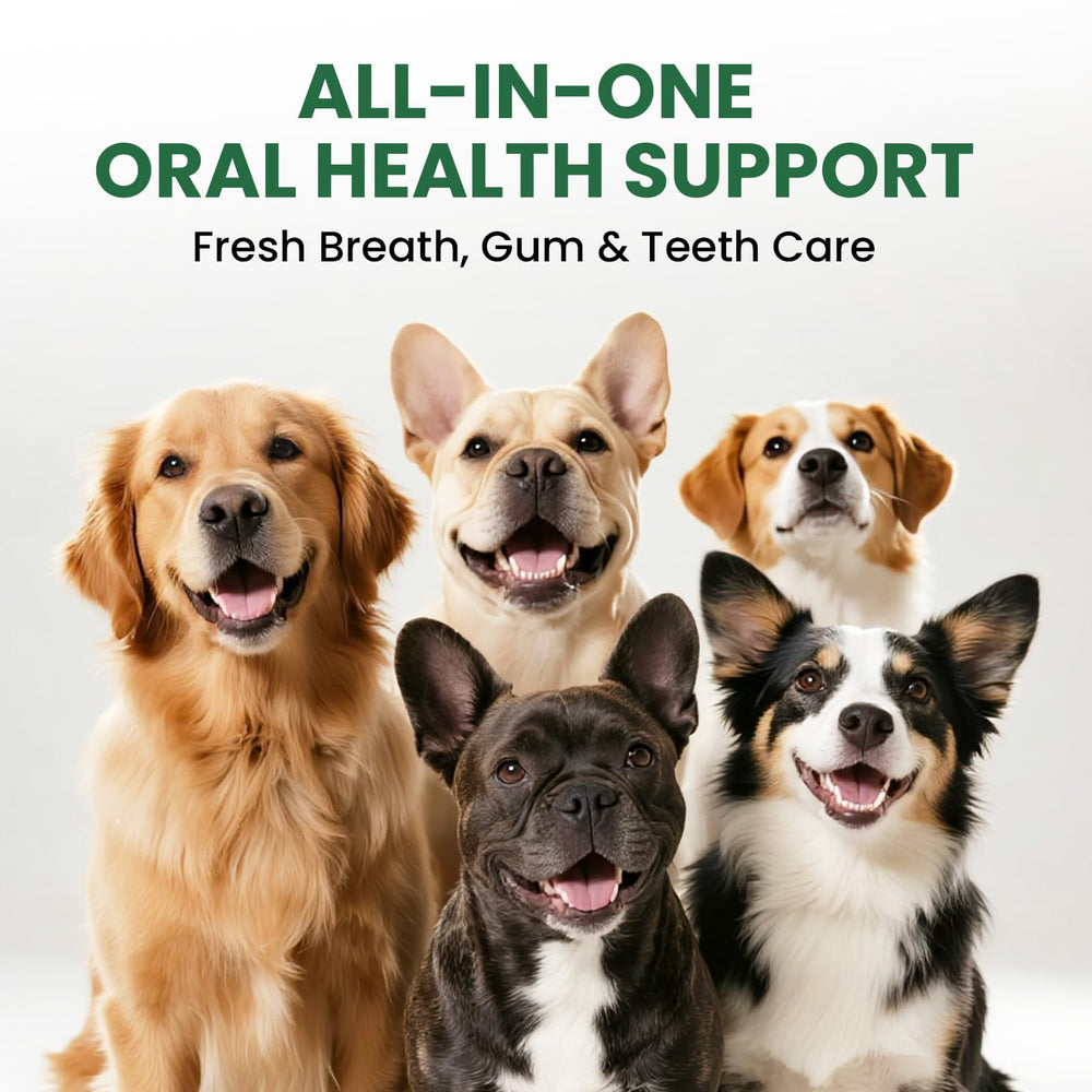 Pawfect Vita's no-brush routine fits busy pet parents