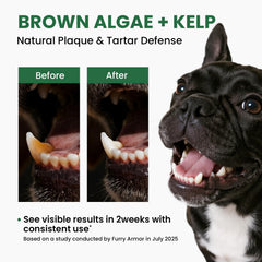 Pawfect Vita probiotics support gut-friendly oral health and fresher breath