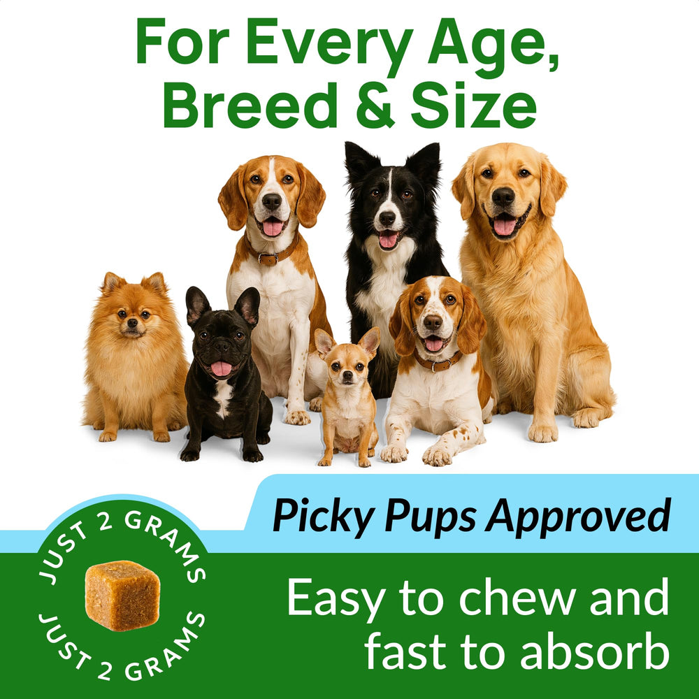 PAWFECTCHEW 90-day guarantee card signals confidence and risk-free purchase