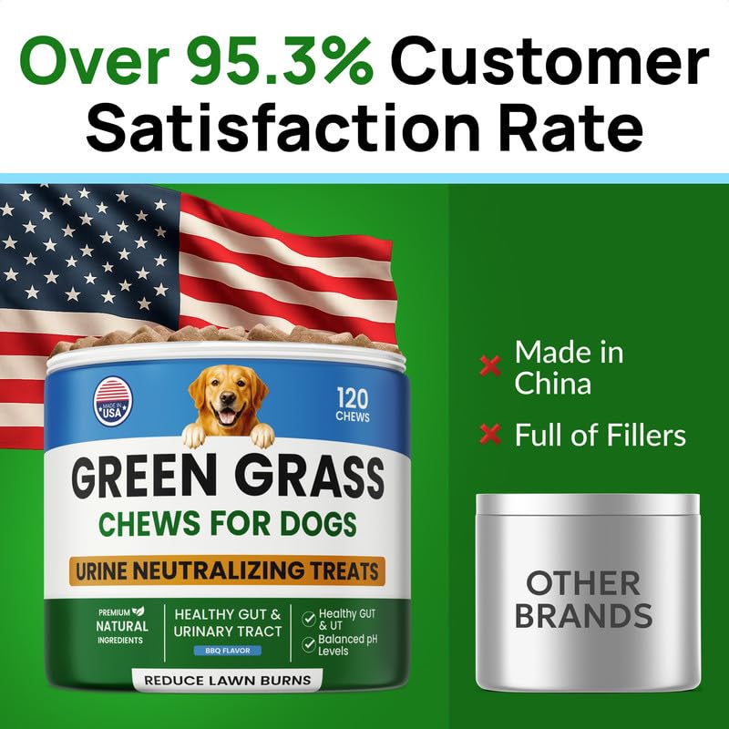 PAWFECTCHEW before-after lawn visuals: shows visible improvement in greenery.