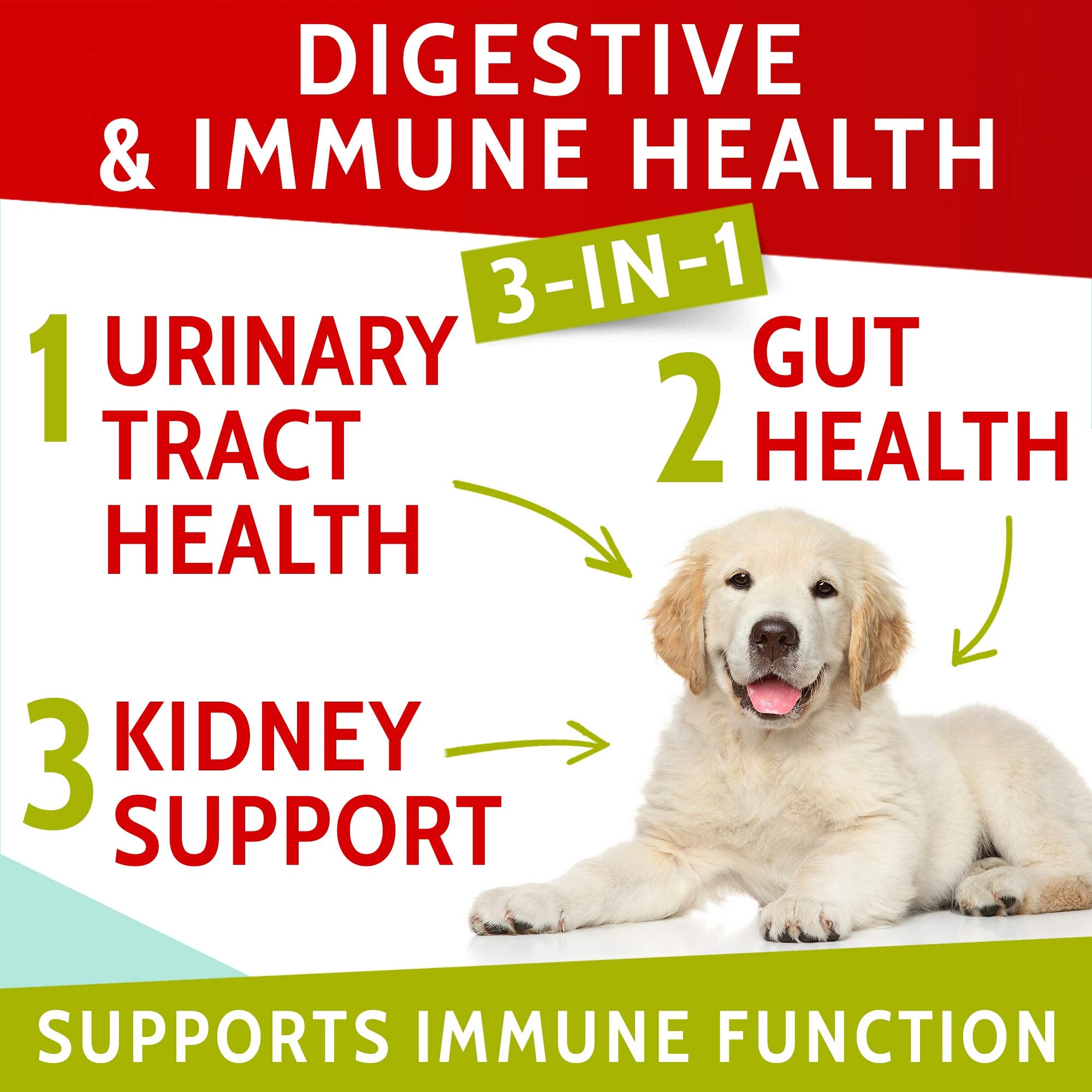 PAWFECTCHEW chews close-up highlighting tasty texture and probiotic blend