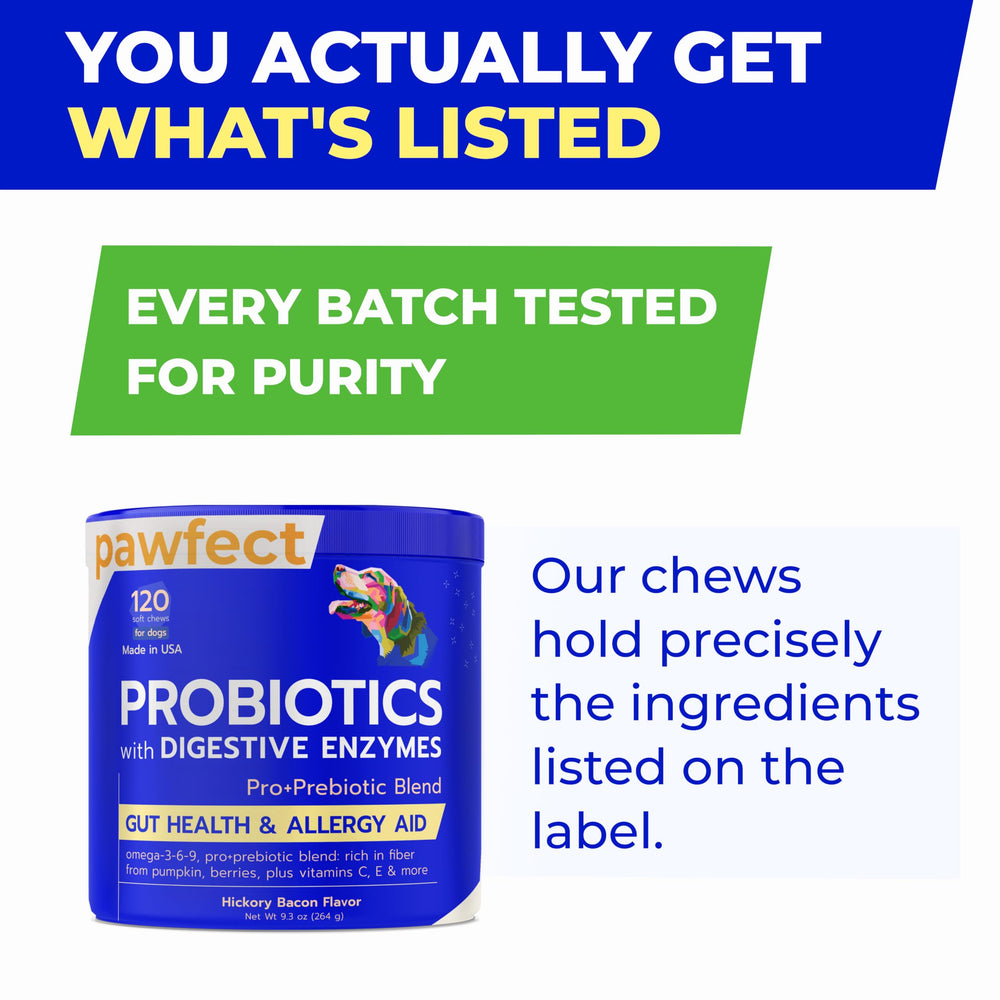 PAWFECTCHEW daily-care routine with probiotic chews for medium to large dogs