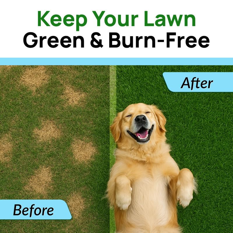 PAWFECTCHEW digestive-support chews: supports digestion while deterring urine damage.