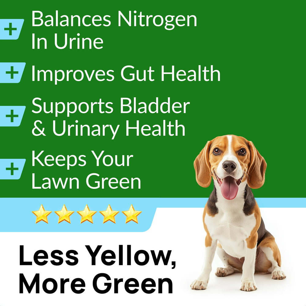 PAWFECTCHEW dog chews taste test shows appealing treats for all sizes