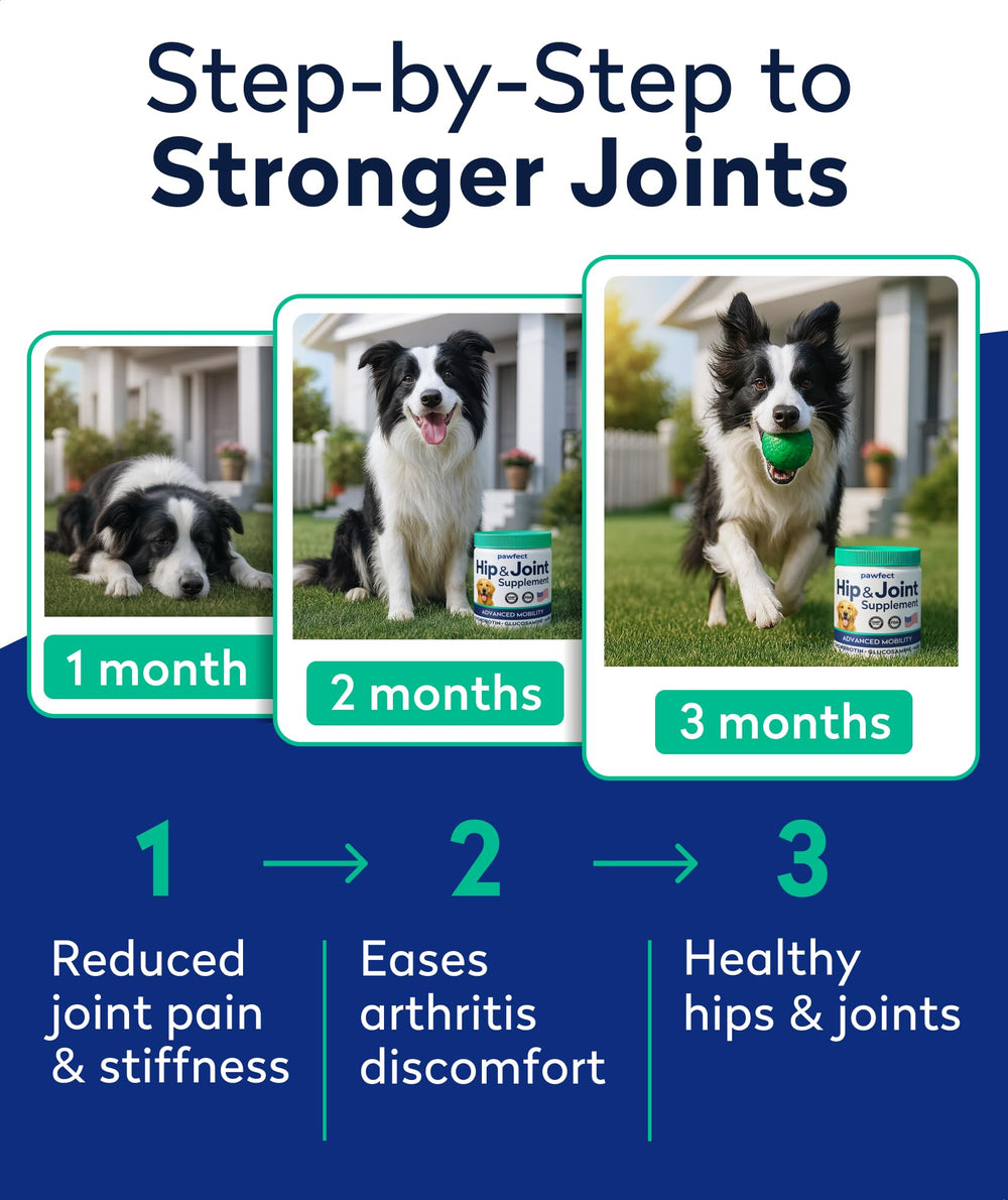 PAWFECTCHEW senior dog joint treats for easier movement