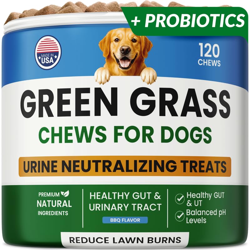 PAWFECTCHEW green grass chews tub: soft bites for lawn protection and convenience.