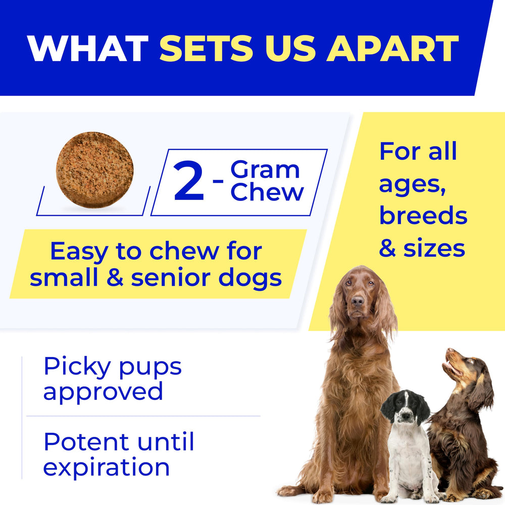 PAWFECTCHEW anti-allergy blend aids itchy skin and coats