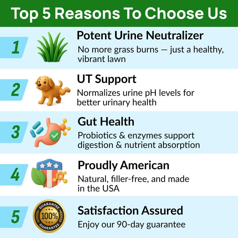 PAWFECTCHEW made-in-usa packaging: trusted US-made supplement for pet homes.