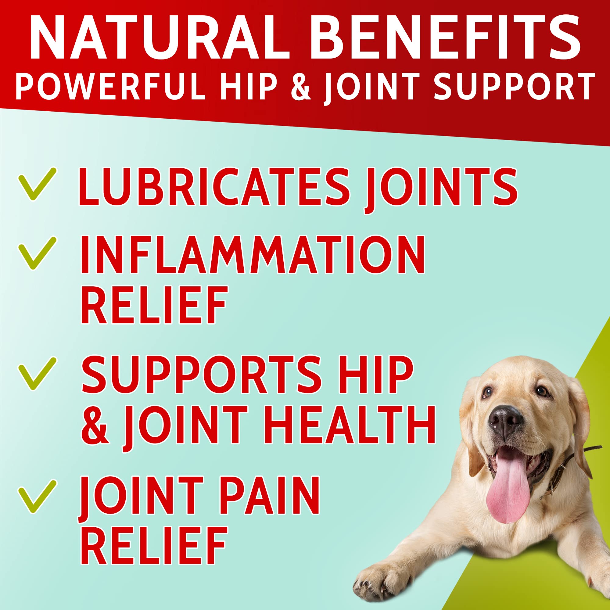 PawfectChew pack of soft chews shows convenient daily joint support.