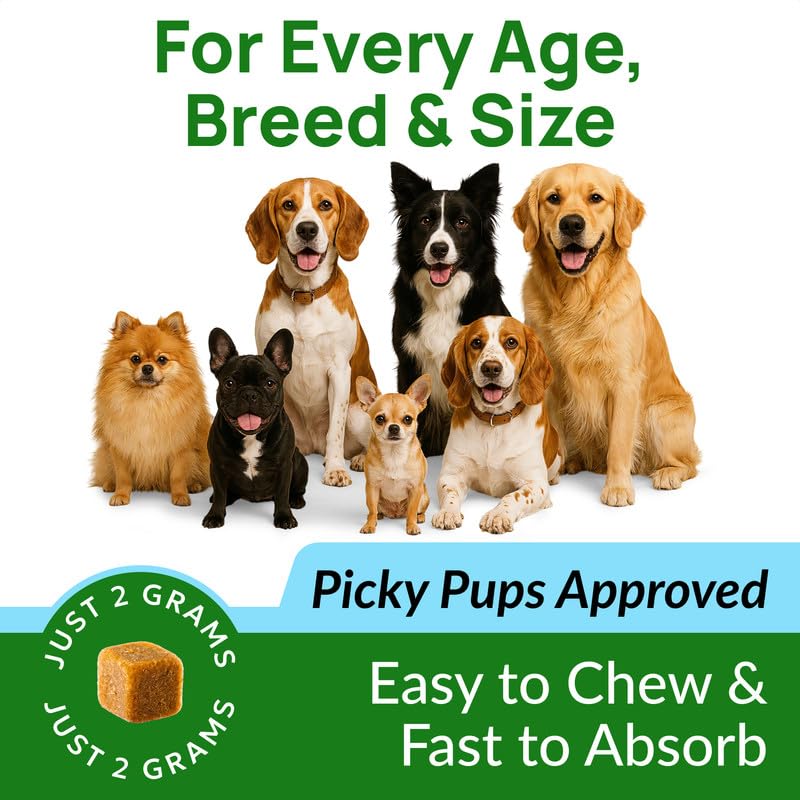 PAWFECTCHEW soft savory texture: easy-to-chew chews loved by puppies and dogs.