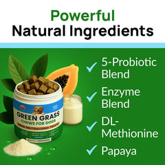 PAWFECTCHEW urine-neutralizer bites: enzymatic blend helps reduce lawn burn spots.