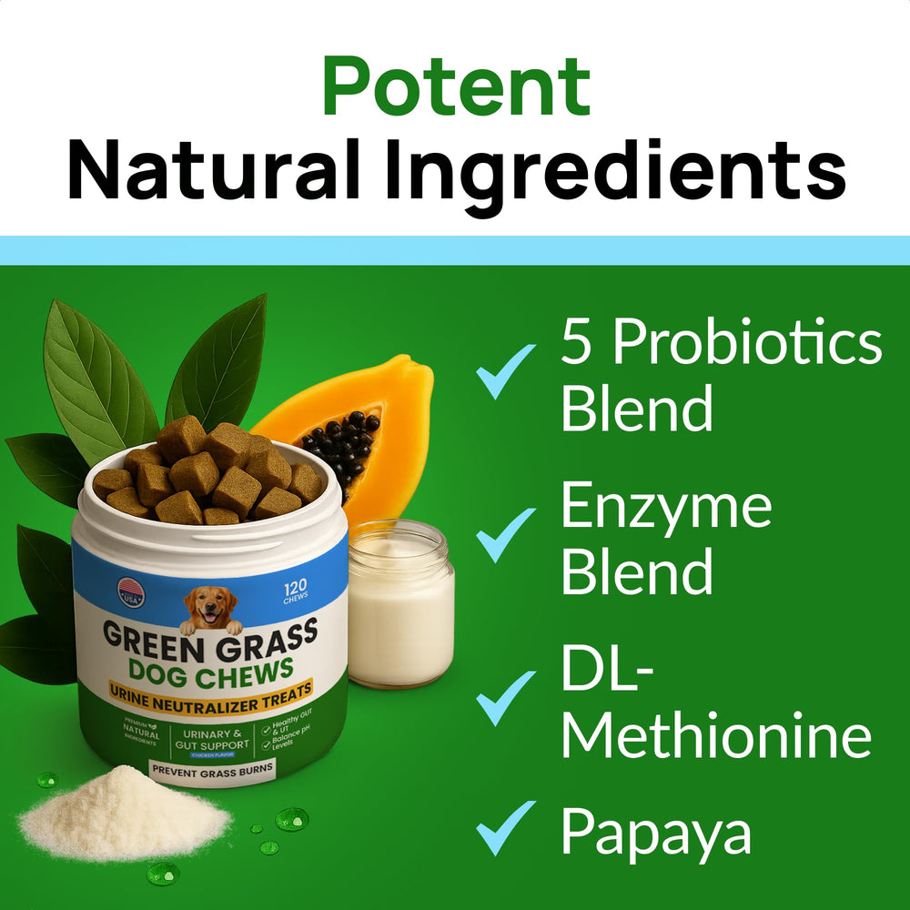 PAWFECTCHEW urine neutralizer dog biscuit pack demonstrates lawn protection potential