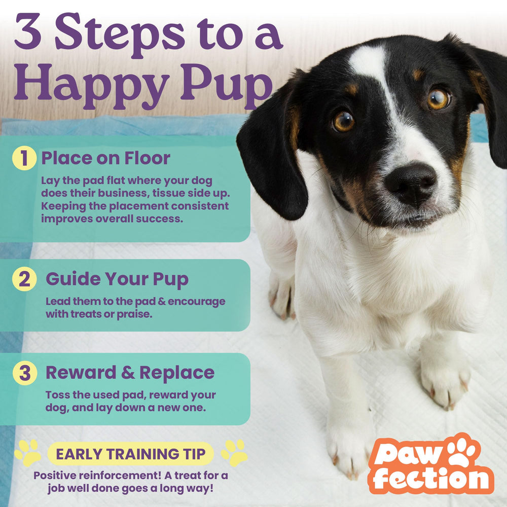 Pawfection pad ideal for crate use or travel during potty training.