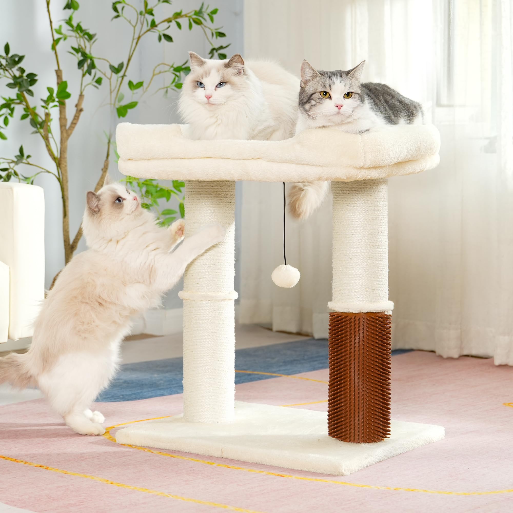 Pawfessor included tool pack and clear instructions for easy assembly.