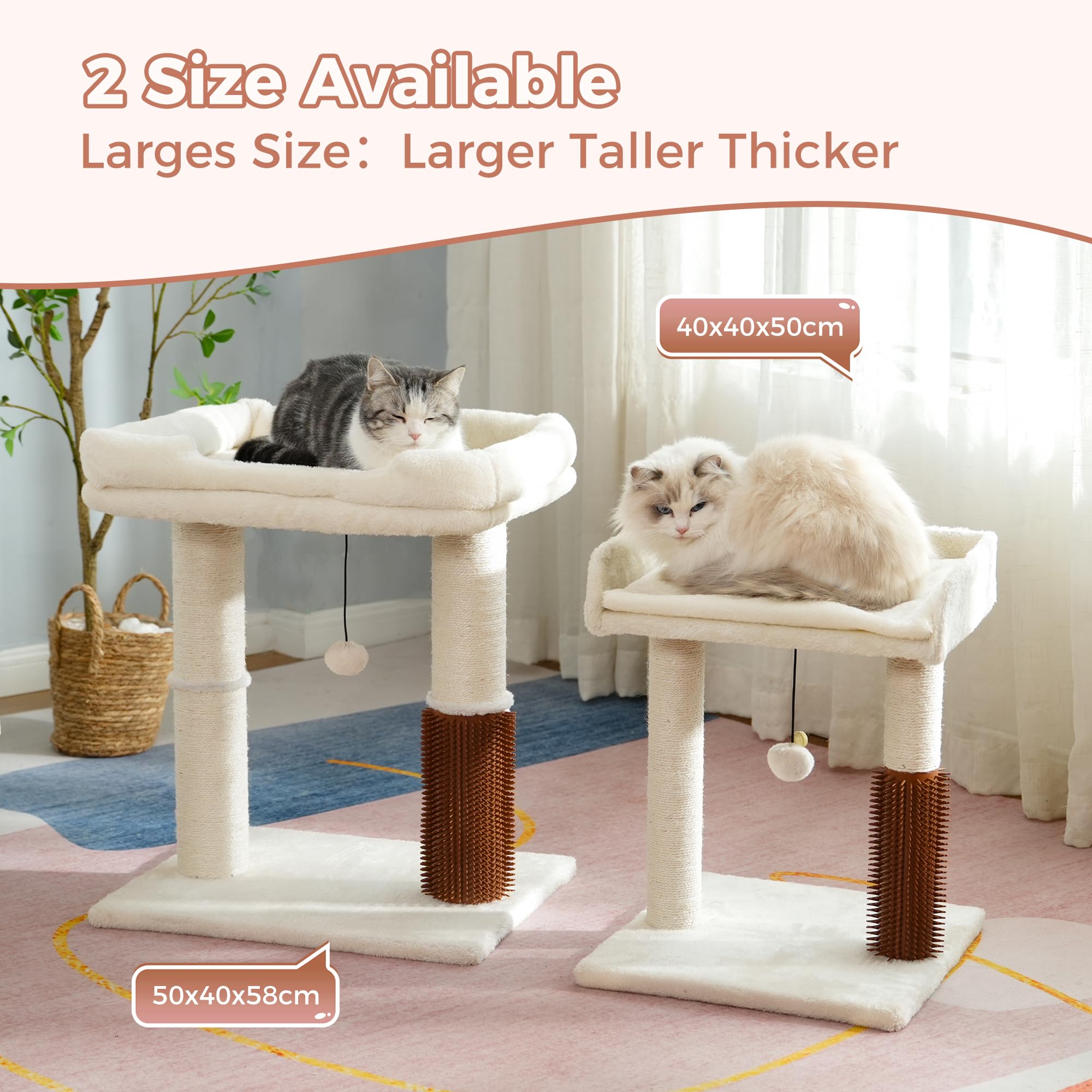 Pawfessor removable washable cushion simplifies cleaning between uses.