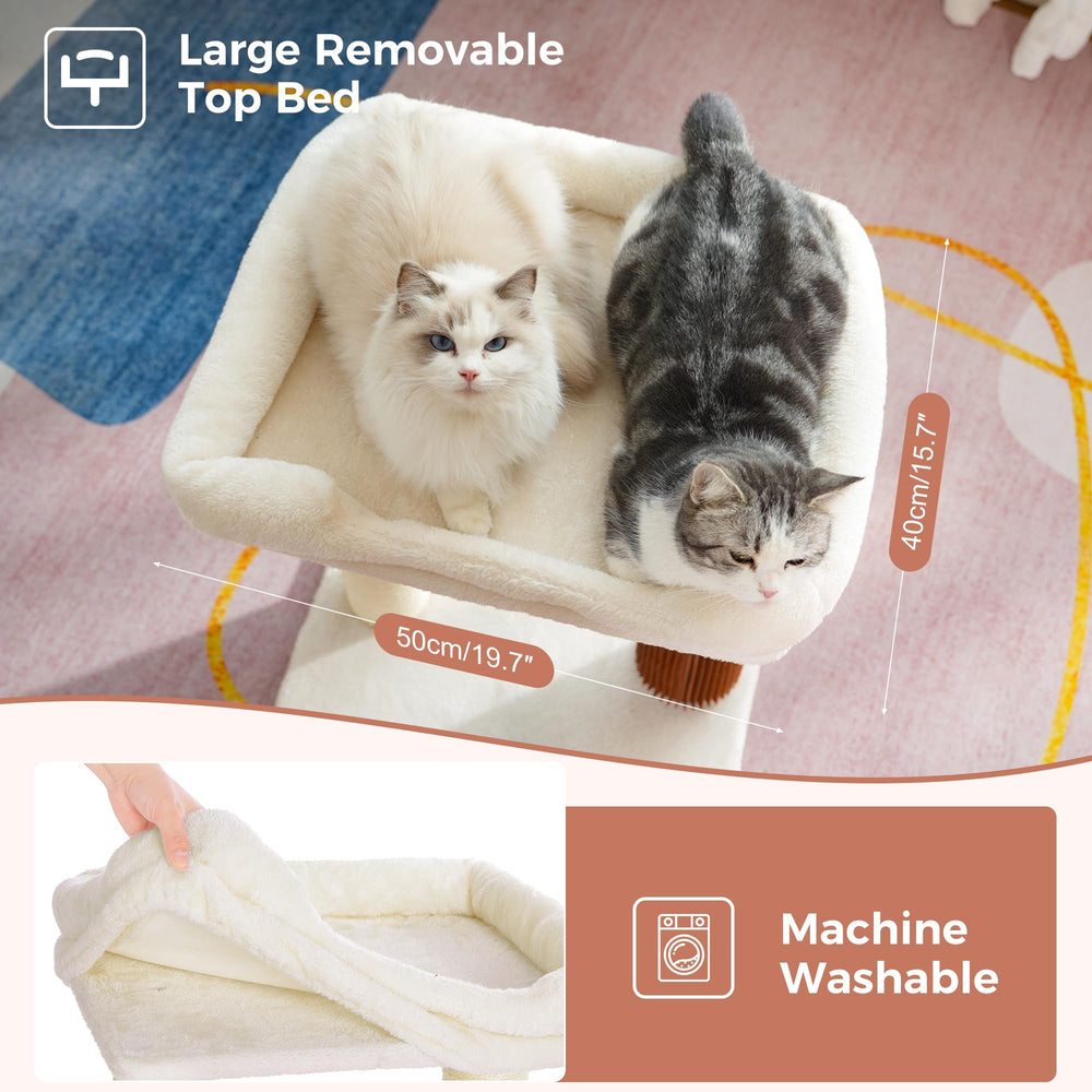 Pawfessor self-groomer on lower level delivers gentle grooming.