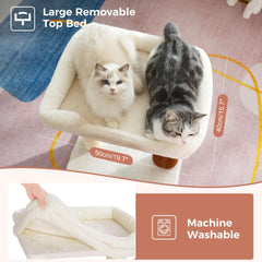 Pawfessor self-groomer on lower level delivers gentle grooming.