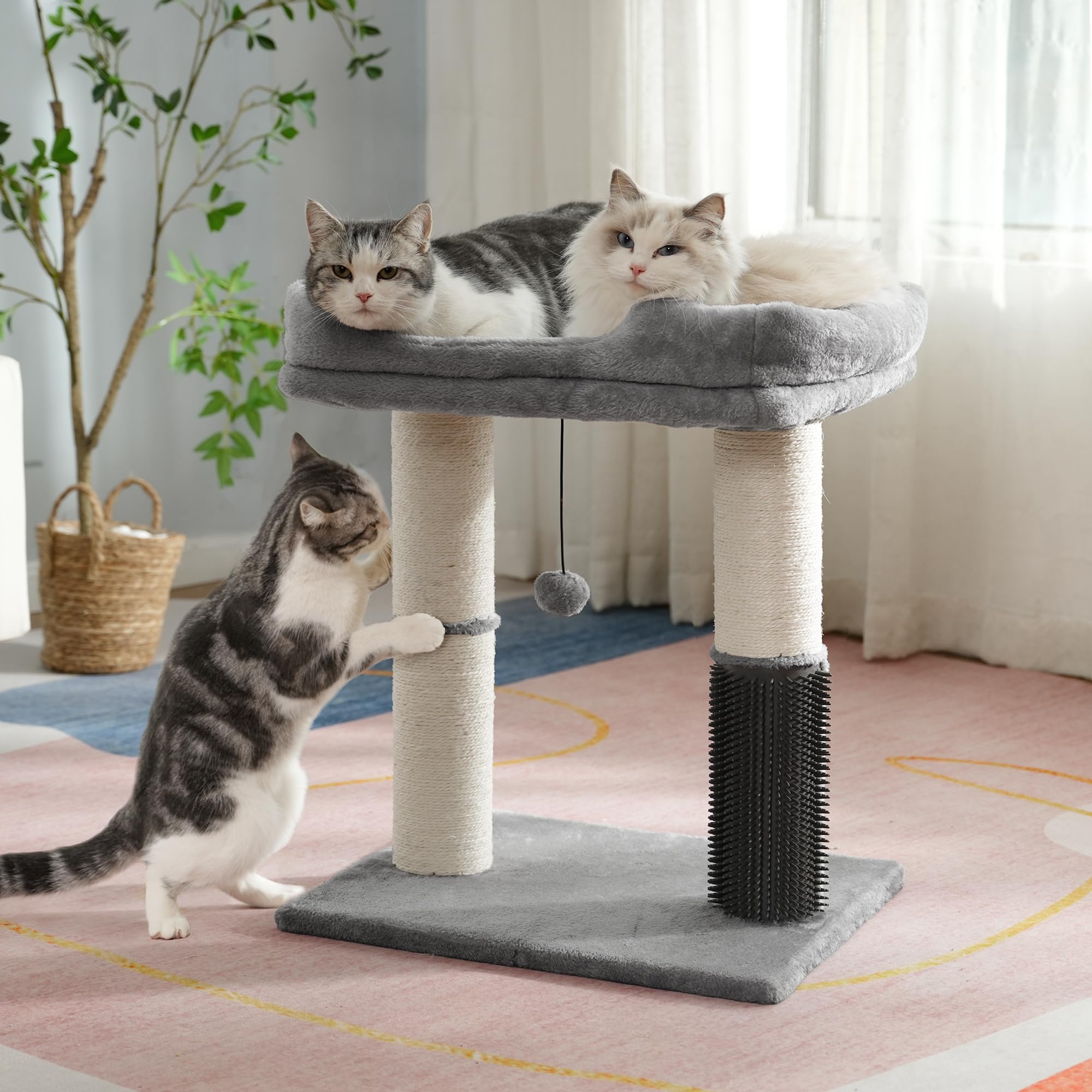 Pawfessor cat tree tower easy assembly with included tools.