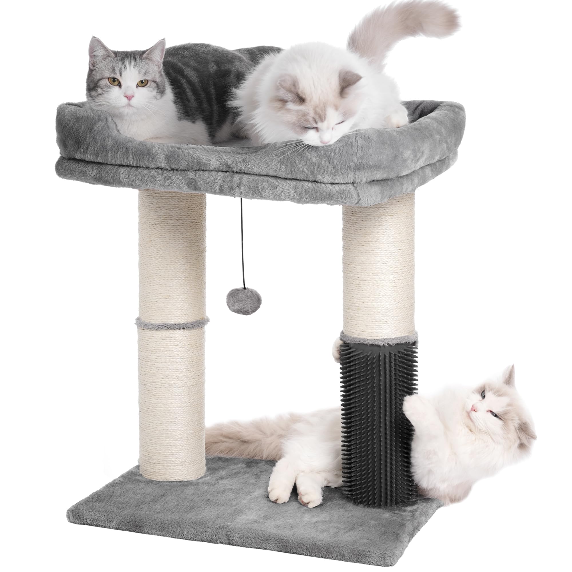 Pawfessor cat tree tower top bed provides a comfy retreat for large cats.