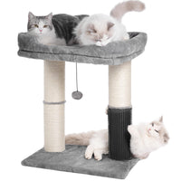 Pawfessor cat tree tower top bed provides a comfy retreat for large cats.