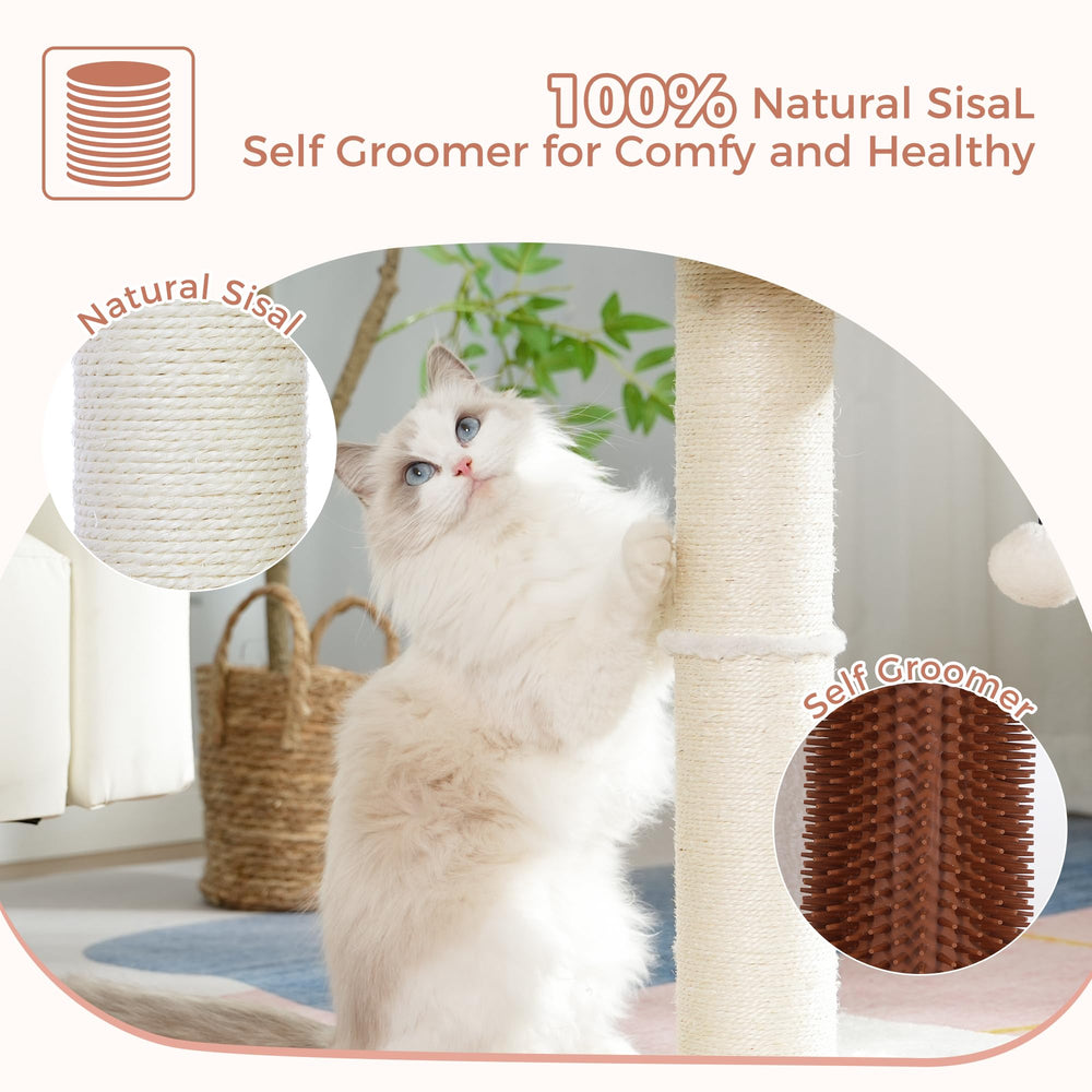 Pawfessor wide base enhances stability for active households.
