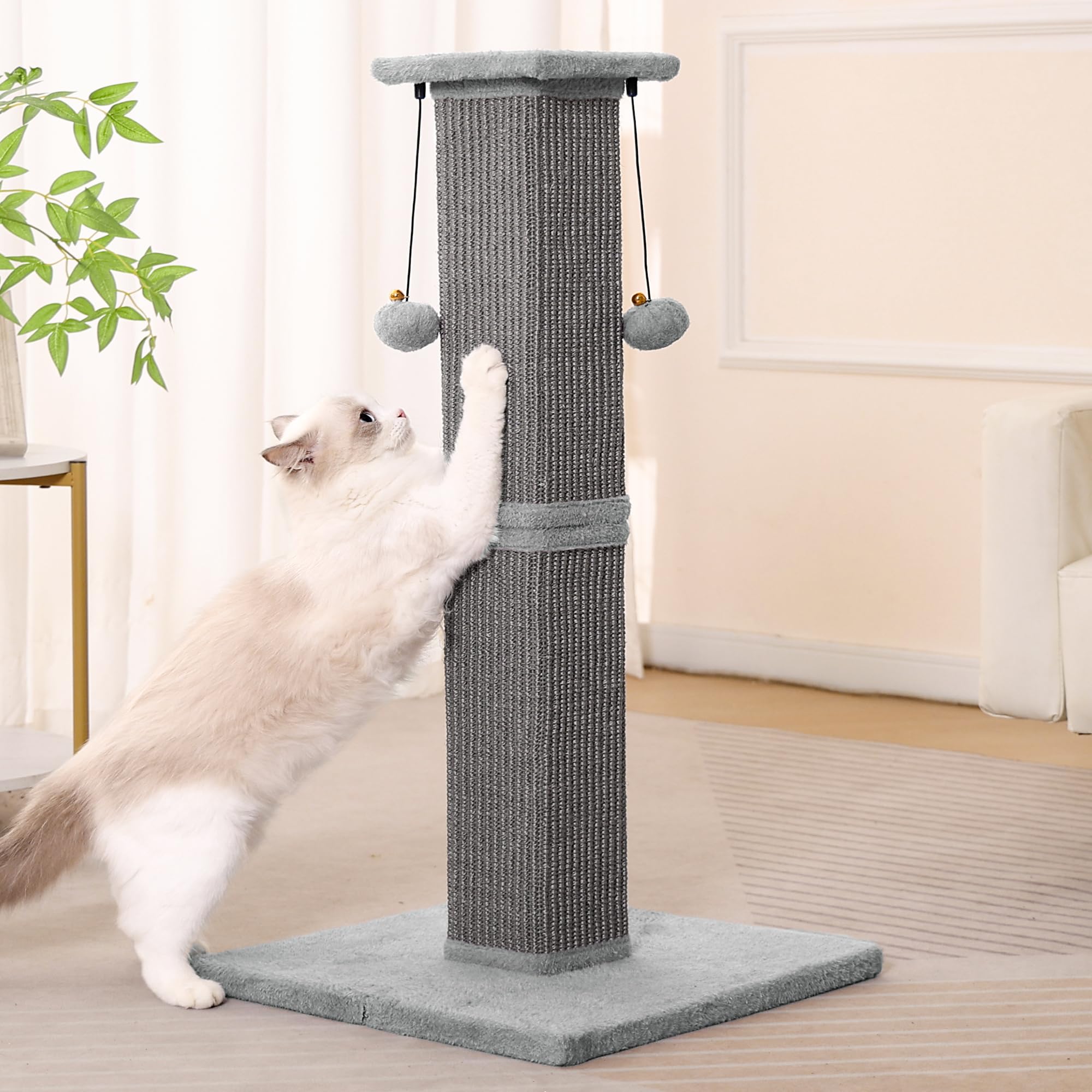 Pawfessor easy assembly ensures setup in minutes with clear instructions.