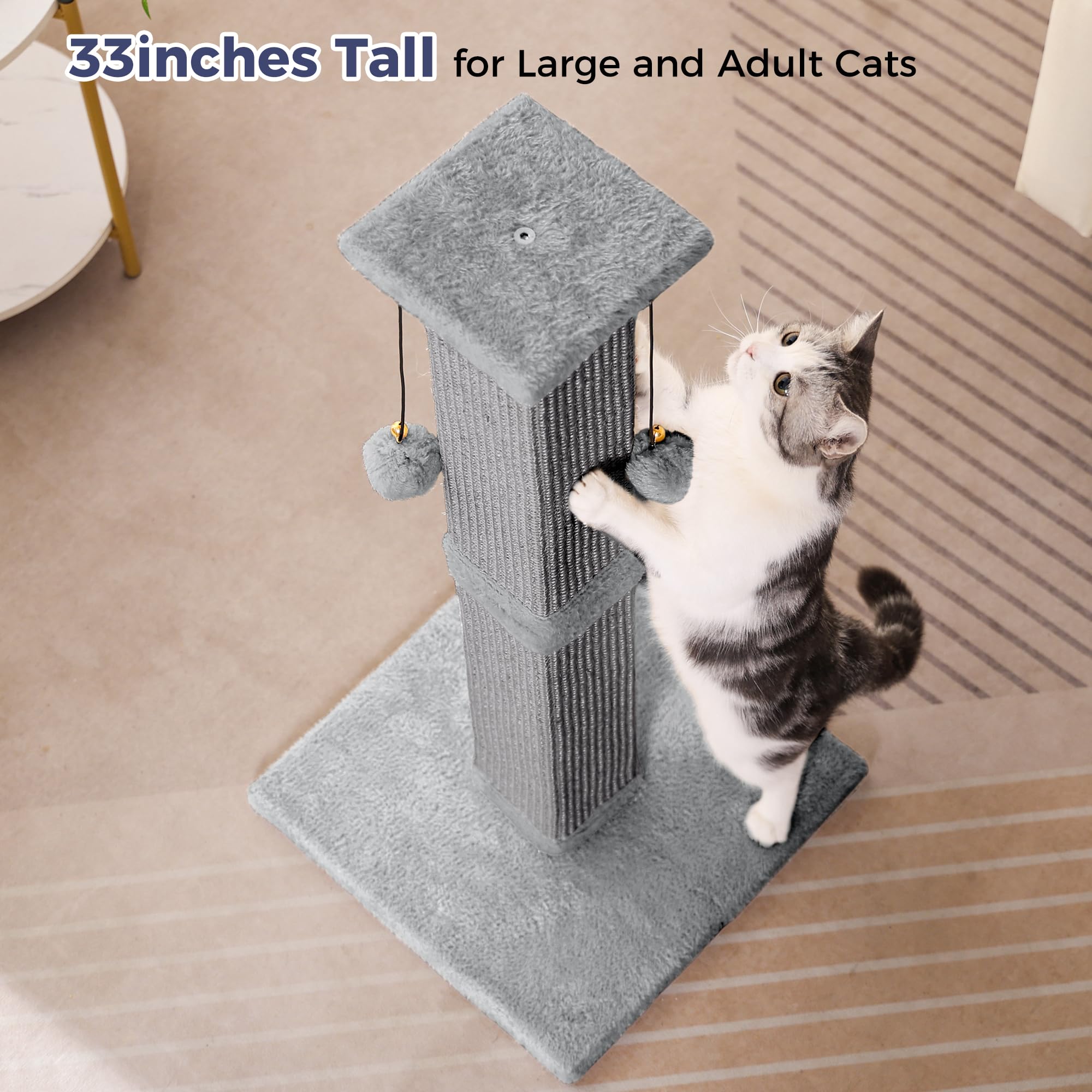 Pawfessor grey beige design blends with home decor elegantly.