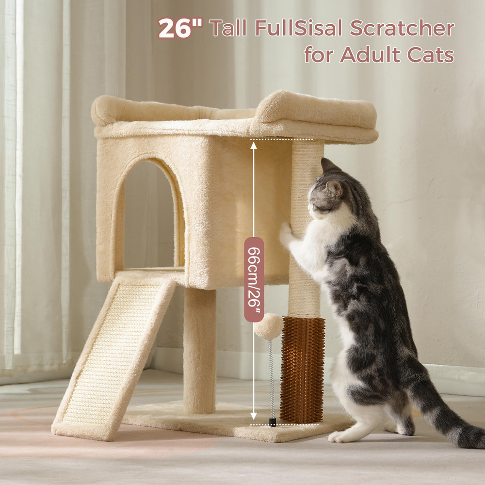 Pawfessor assembly-kit enables quick, stress-free setup.