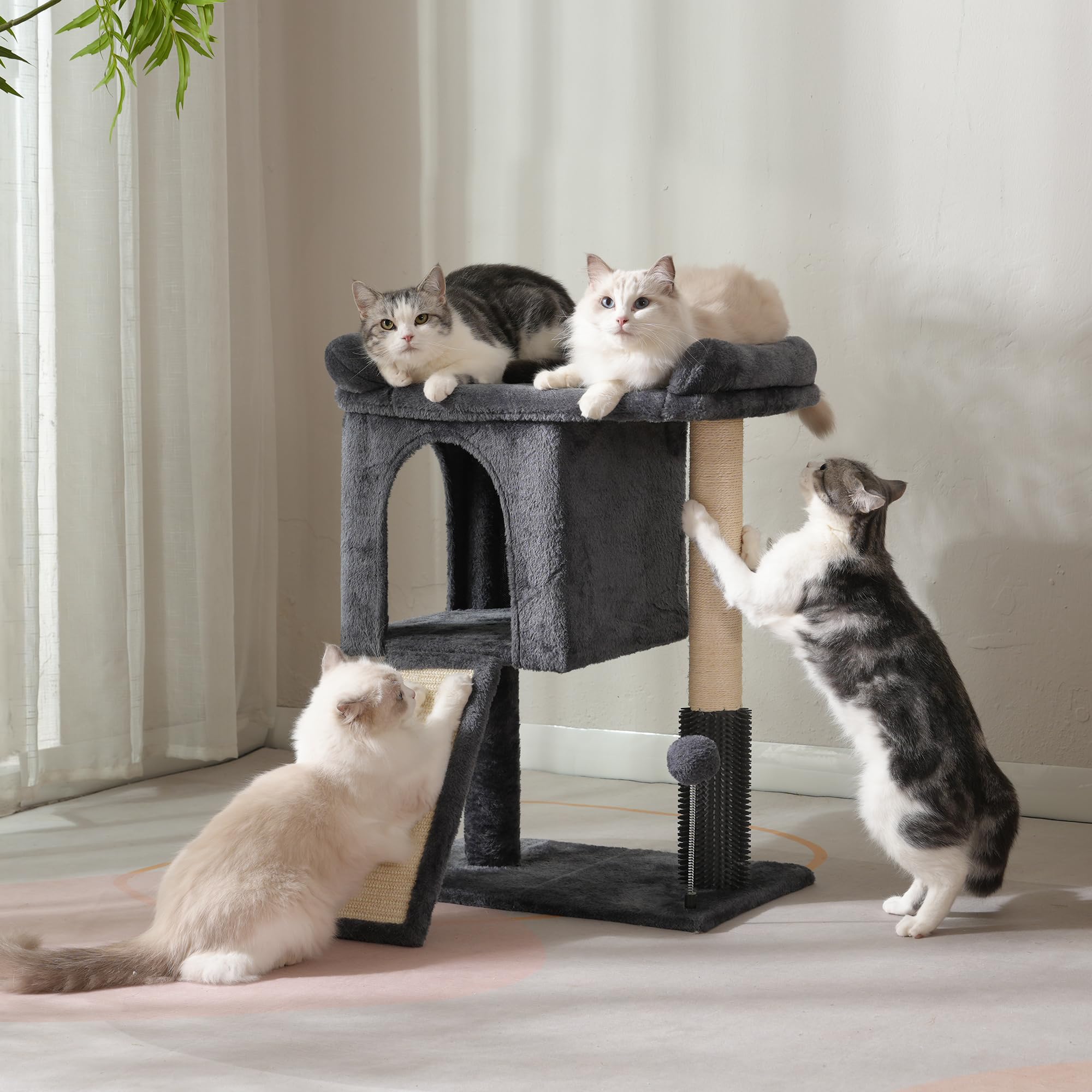 Pawfessor dark grey finish blends with home decor while supporting cats.