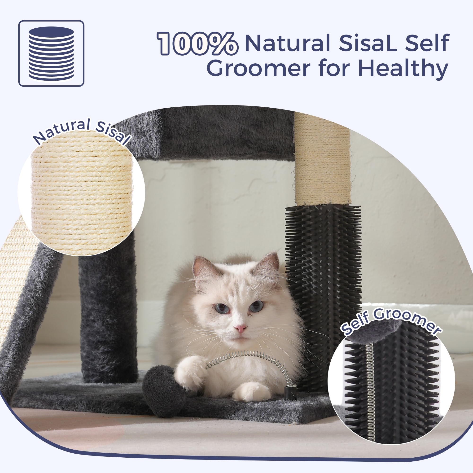 Pawfessor self-groomer with soft bristles removes loose fur during down-time.