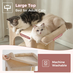 Pawfessor sisal post supports healthy scratching and full body stretches.