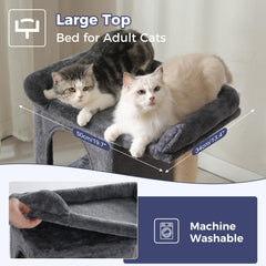 Pawfessor sisal posts invite full-body stretching and durable claw maintenance.