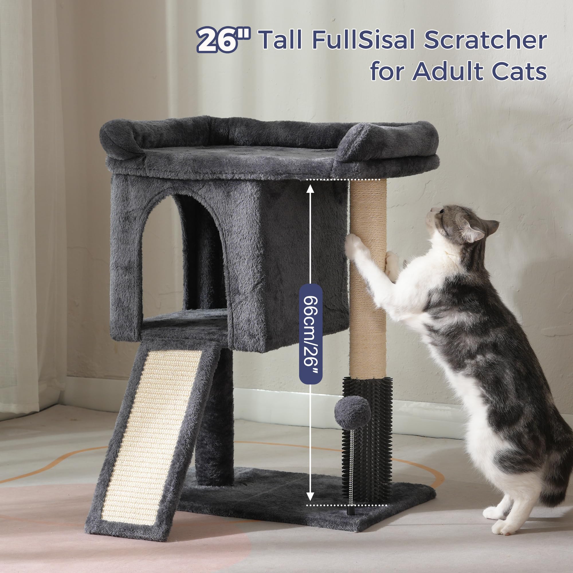 Pawfessor spring ball adds playful interaction near the tower.