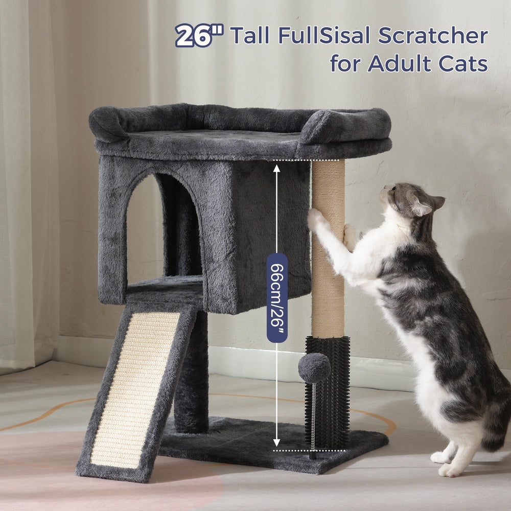 Pawfessor spring ball adds playful interaction near the tower.