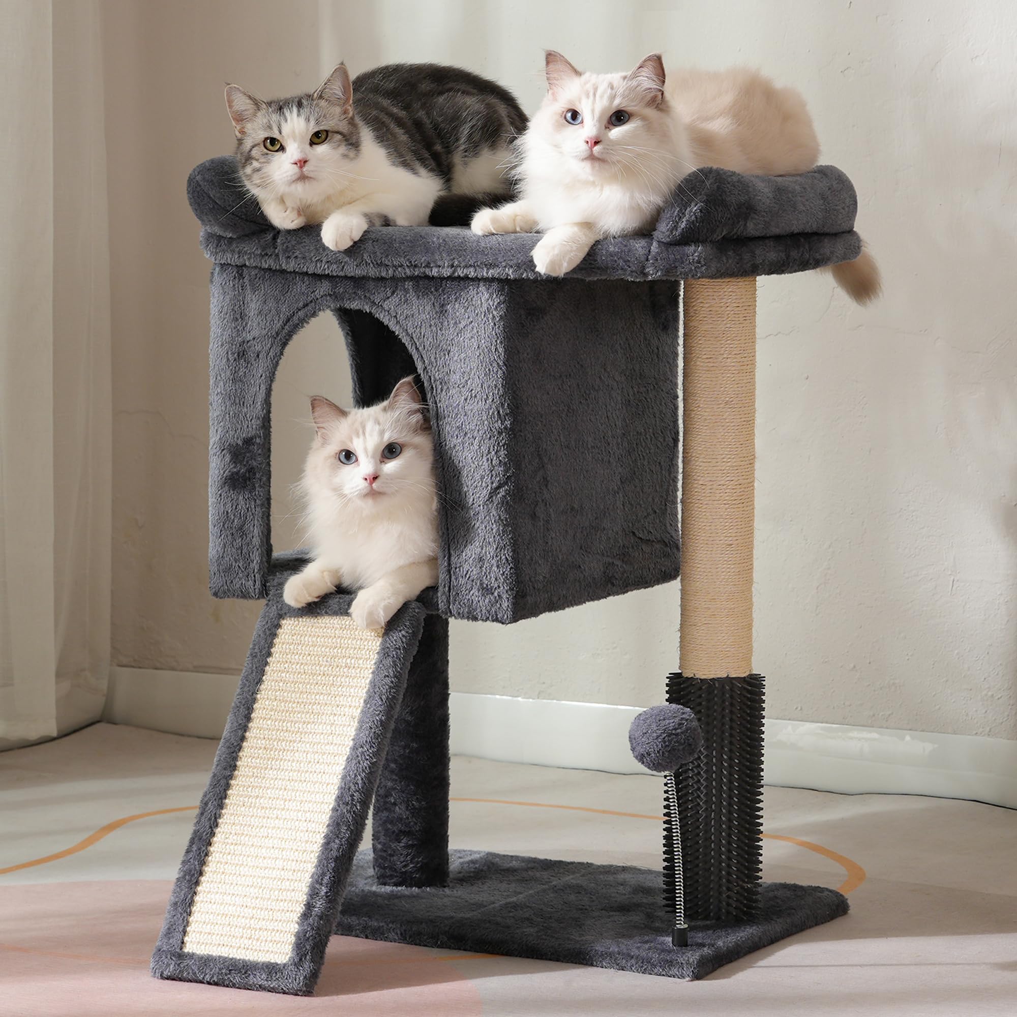 Pawfessor small cat tree top bed offers cozy elevated rest for larger cats.