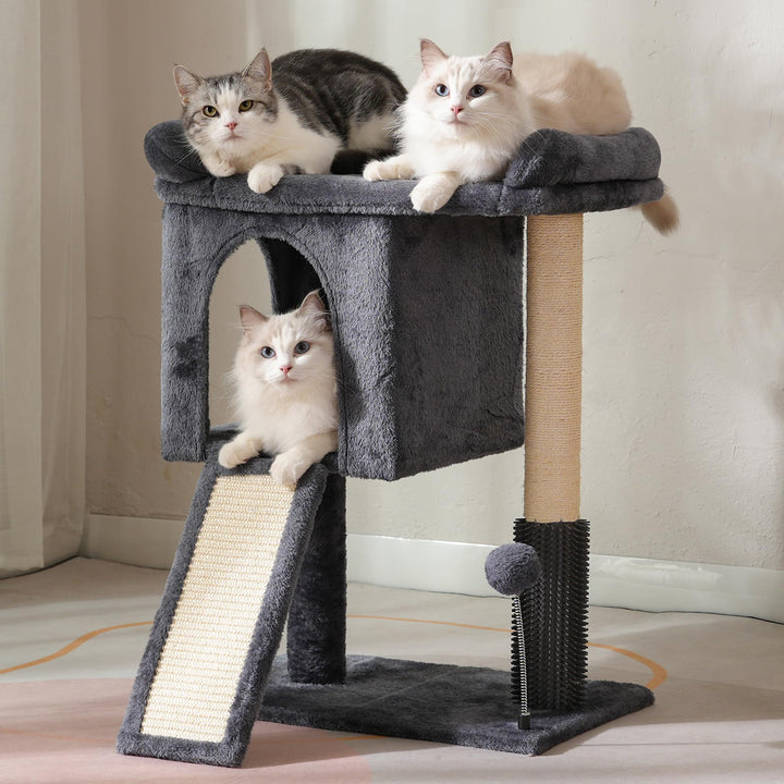 Pawfessor small cat tree top bed offers cozy elevated rest for larger cats.