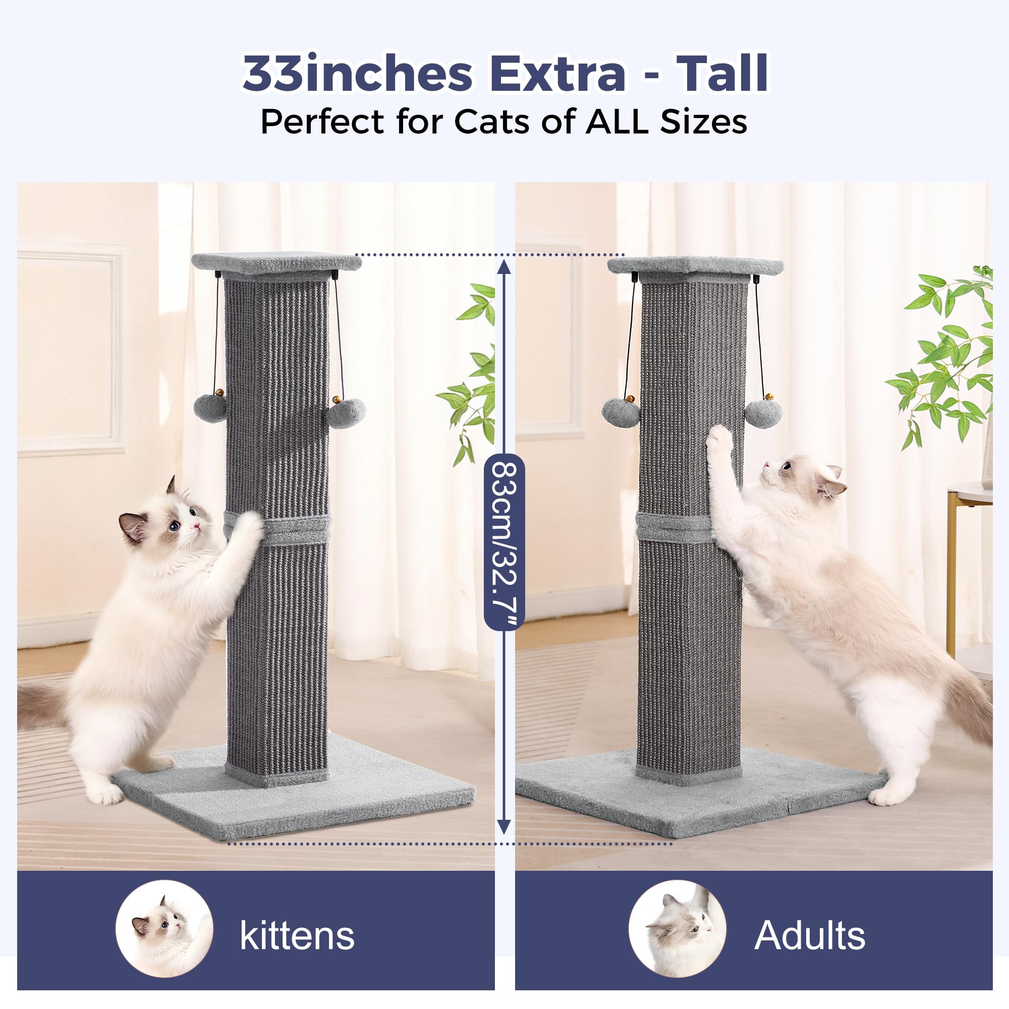 Pawfessor soft plush plank adds a cozy perch for observation.